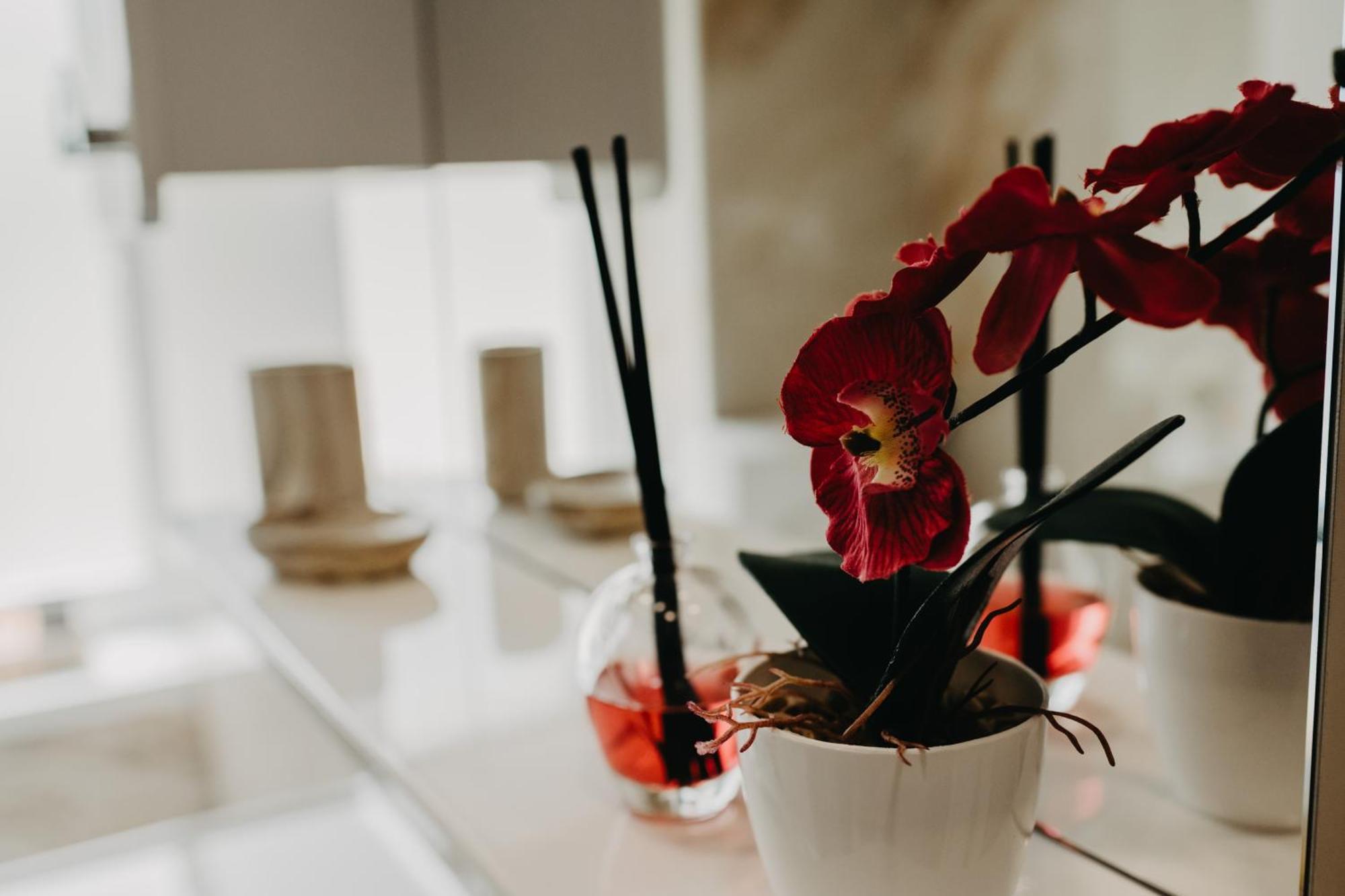 Modrica Prenociste Park B&B 외부 사진