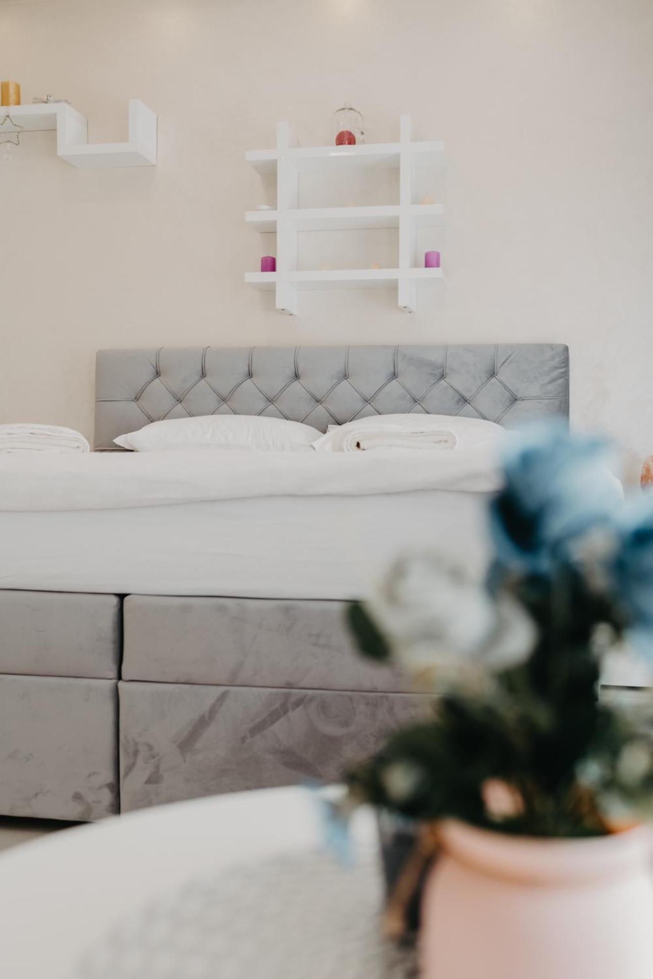 Modrica Prenociste Park B&B 외부 사진